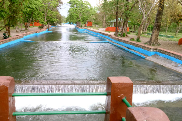 Lachhiwala